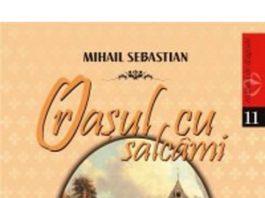 Coperta cartii Orasul cu salcami