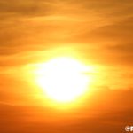IMG_9539